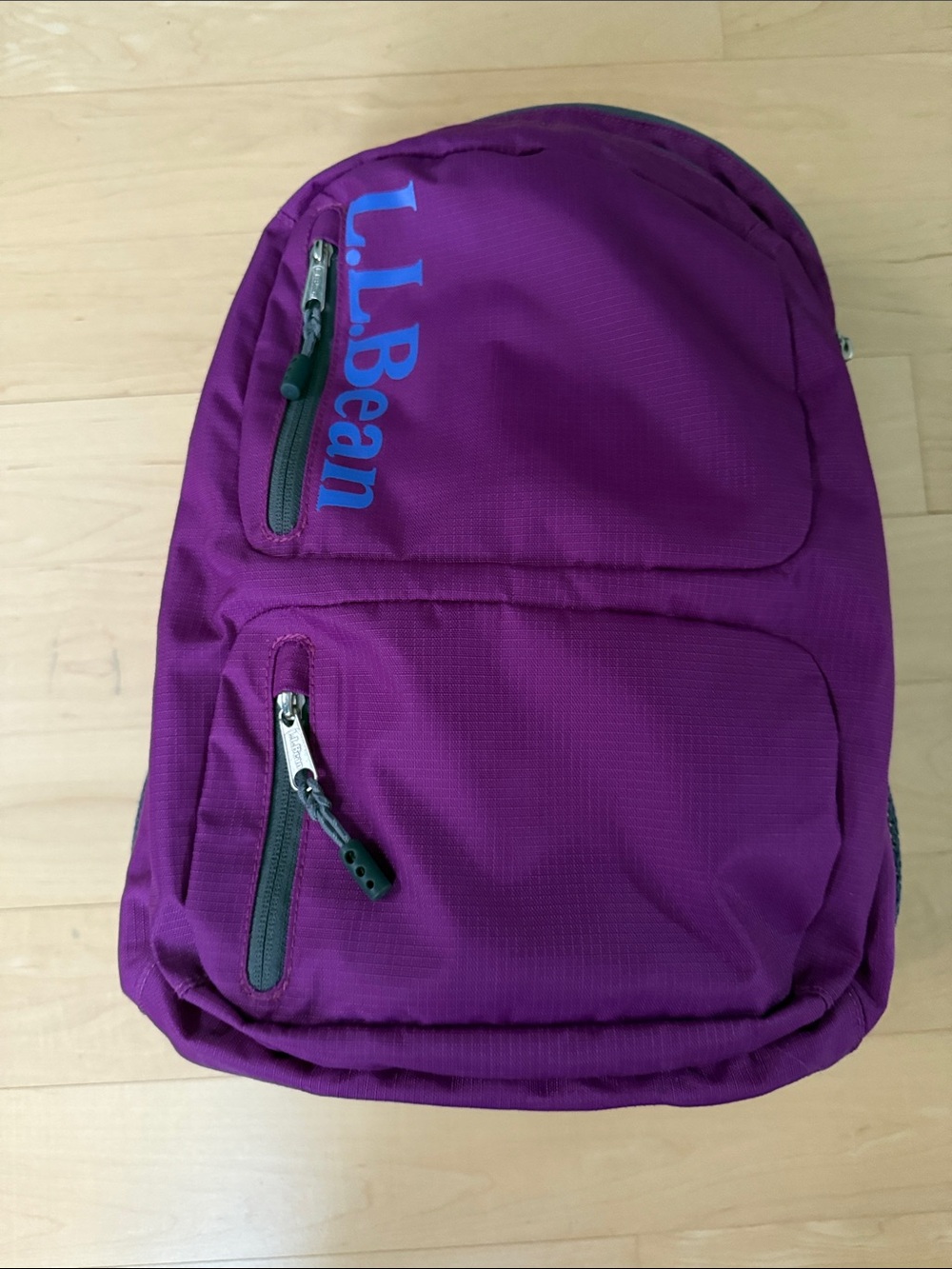 L.L. Bean Backpack